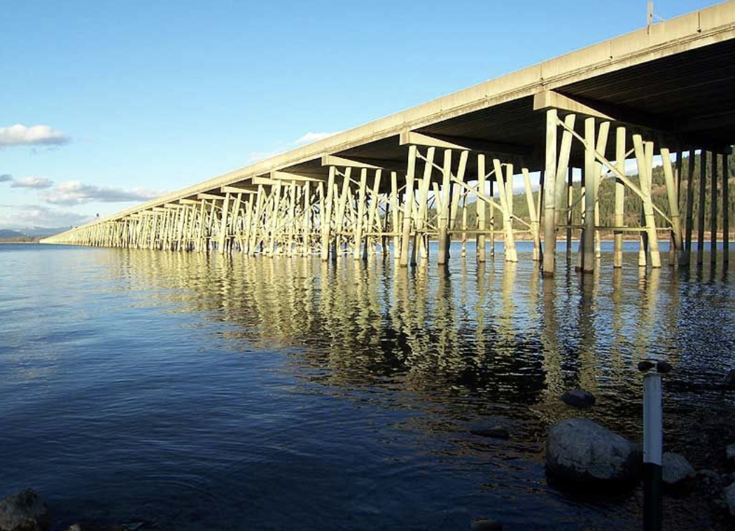 Long Bridge Half Marathon